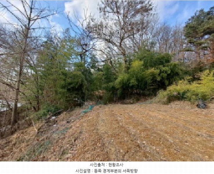 2025타경50143 충청남도 당진시 송악읍 반촌리 845-3 임야 경매 이미지