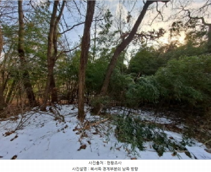 2025타경50143 충청남도 당진시 송악읍 반촌리 845-3 임야 경매 이미지