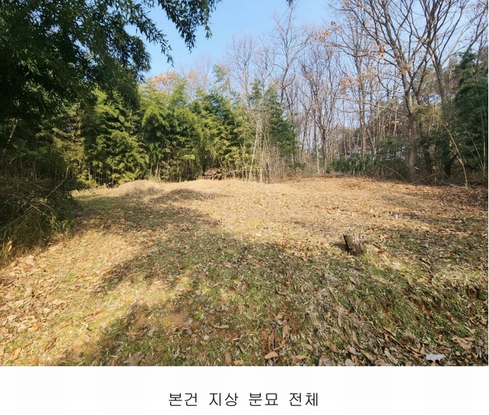 2025타경50143 충청남도 당진시 송악읍 반촌리 845-3 임야 경매 이미지