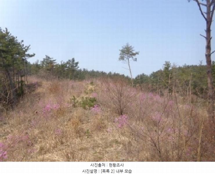 2025타경51170 충청남도 태안군 원북면 신두리 산263-73 임야 경매 이미지