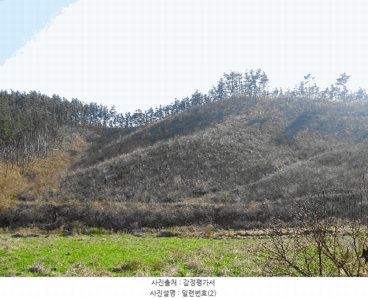 2025타경51170 충청남도 태안군 원북면 신두리 산263-73 임야 경매 이미지