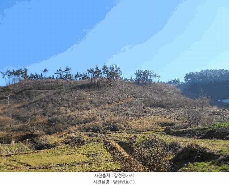 2025타경51170 충청남도 태안군 원북면 신두리 산263-73 임야 경매 이미지