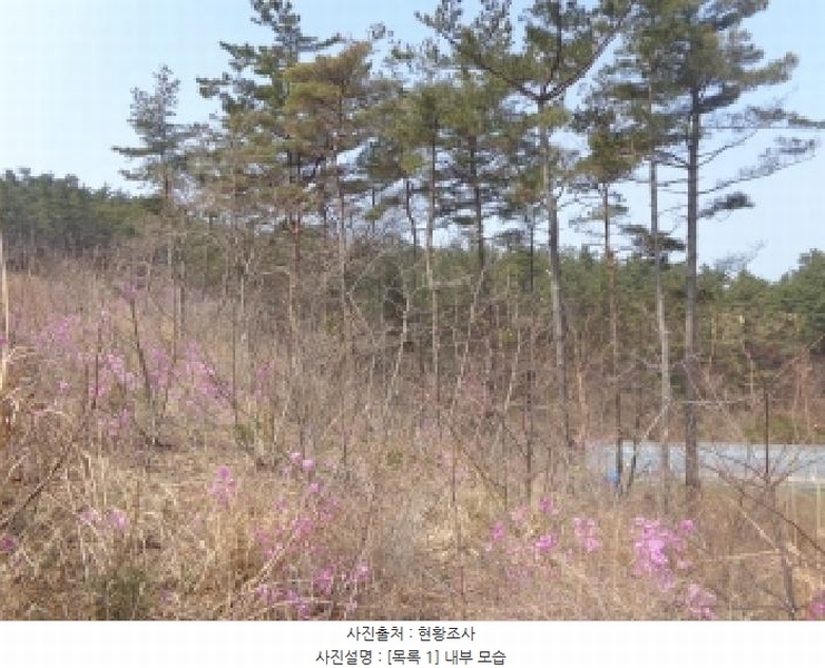 2025타경51170 충청남도 태안군 원북면 신두리 산263-73 임야 경매 이미지