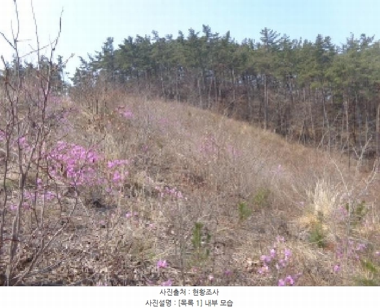 2025타경51170 충청남도 태안군 원북면 신두리 산263-73 임야 경매 이미지