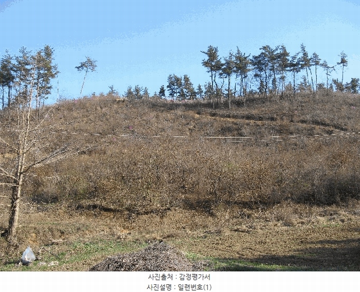 2025타경51170 충청남도 태안군 원북면 신두리 산263-73 임야 경매 이미지