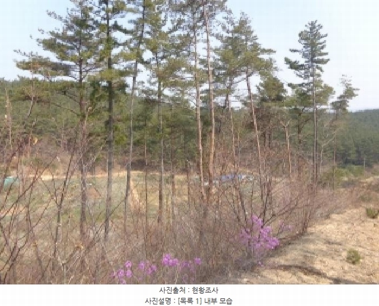 2025타경51170 충청남도 태안군 원북면 신두리 산263-73 임야 경매 이미지