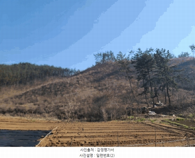 2025타경51170 충청남도 태안군 원북면 신두리 산263-73 임야 경매 이미지