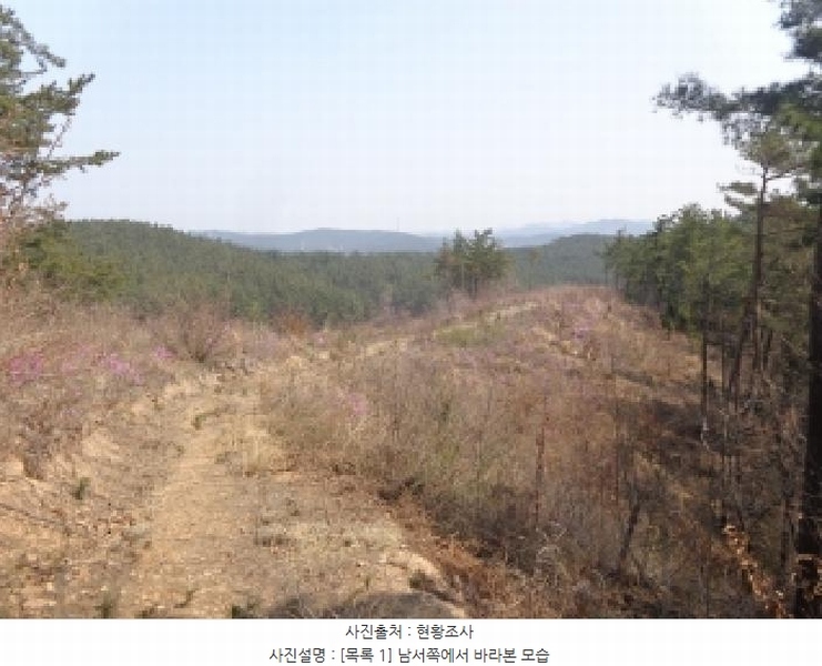 2025타경51170 충청남도 태안군 원북면 신두리 산263-73 임야 경매 이미지