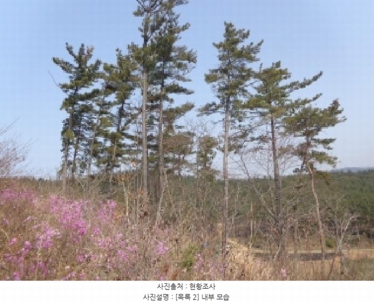 2025타경51170 충청남도 태안군 원북면 신두리 산263-73 임야 경매 이미지