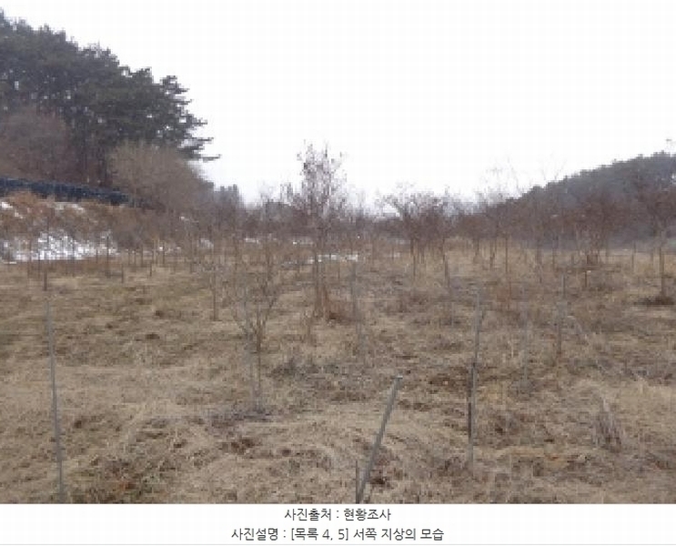 2024타경5092 충청남도 서산시 부석면 봉락리 303-1 농지 경매 이미지
