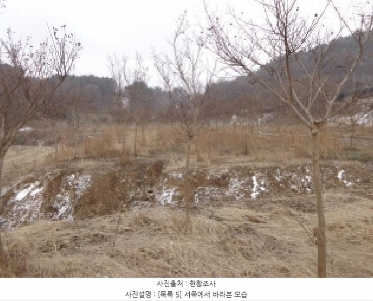 2024타경5092 충청남도 서산시 부석면 봉락리 303-1 농지 경매 이미지