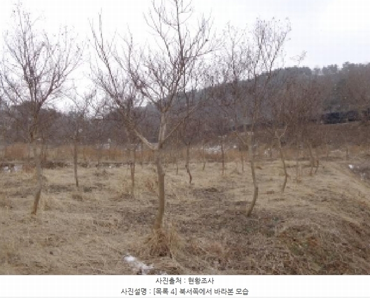 2024타경5092 충청남도 서산시 부석면 봉락리 303-1 농지 경매 이미지