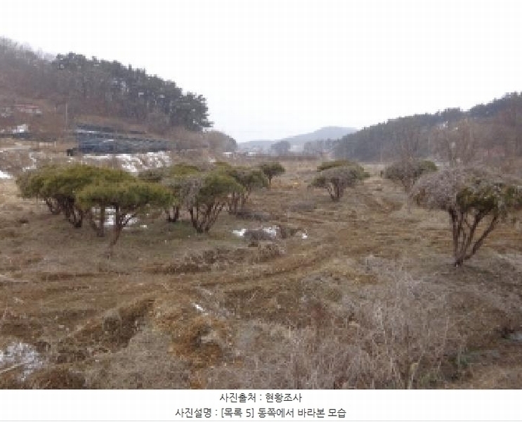2024타경5092 충청남도 서산시 부석면 봉락리 303-1 농지 경매 이미지