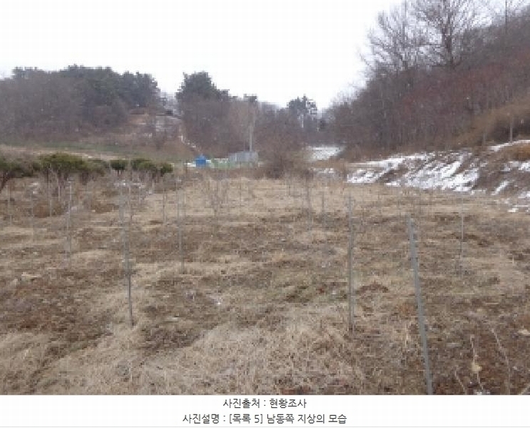 2024타경5092 충청남도 서산시 부석면 봉락리 303-1 농지 경매 이미지