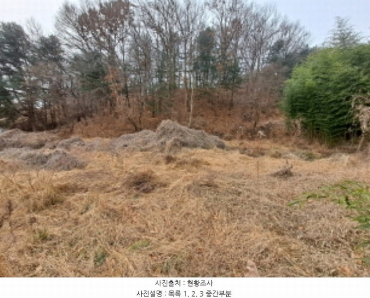 2024타경5344 충청남도 당진시 송산면 송석리 282-1 농지 경매 이미지