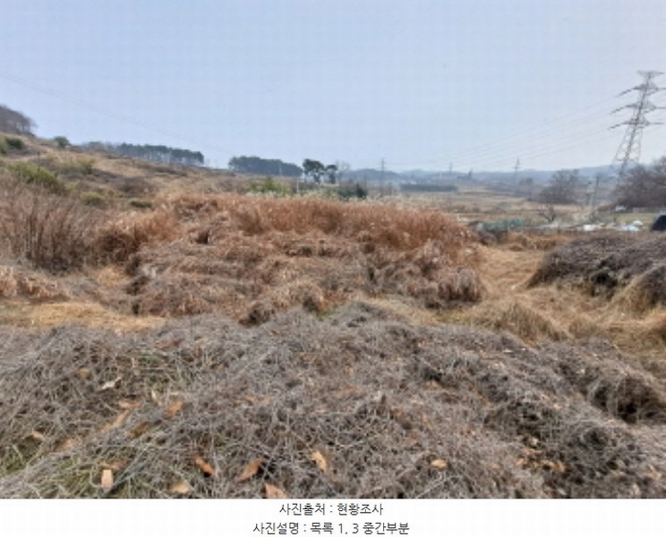 2024타경5344 충청남도 당진시 송산면 송석리 282-1 농지 경매 이미지