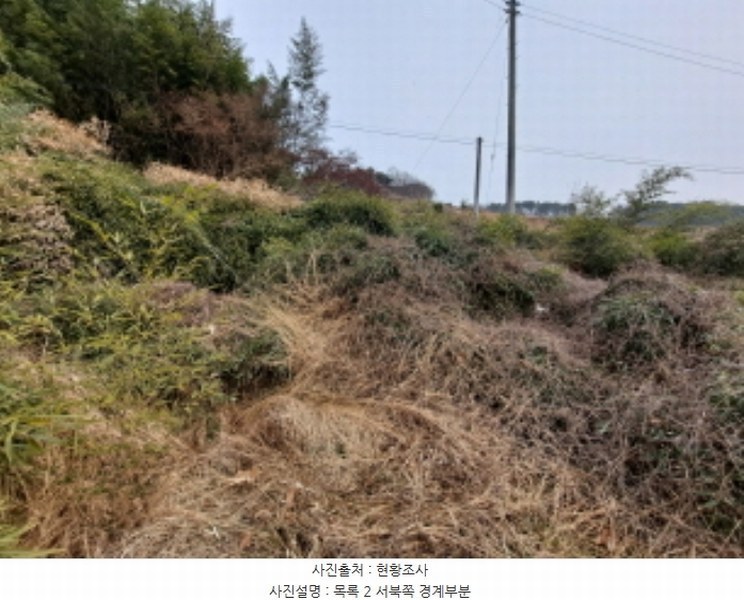 2024타경5344 충청남도 당진시 송산면 송석리 282-1 농지 경매 이미지