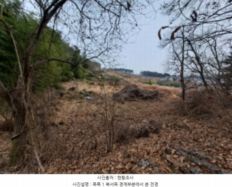 2024타경5344 충청남도 당진시 송산면 송석리 282-1 농지 경매 이미지