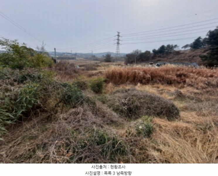 2024타경5344 충청남도 당진시 송산면 송석리 282-1 농지 경매 이미지