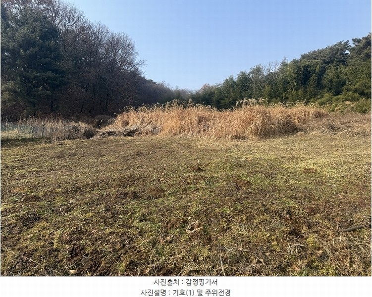 2024타경5344 충청남도 당진시 송산면 송석리 282-1 농지 경매 이미지
