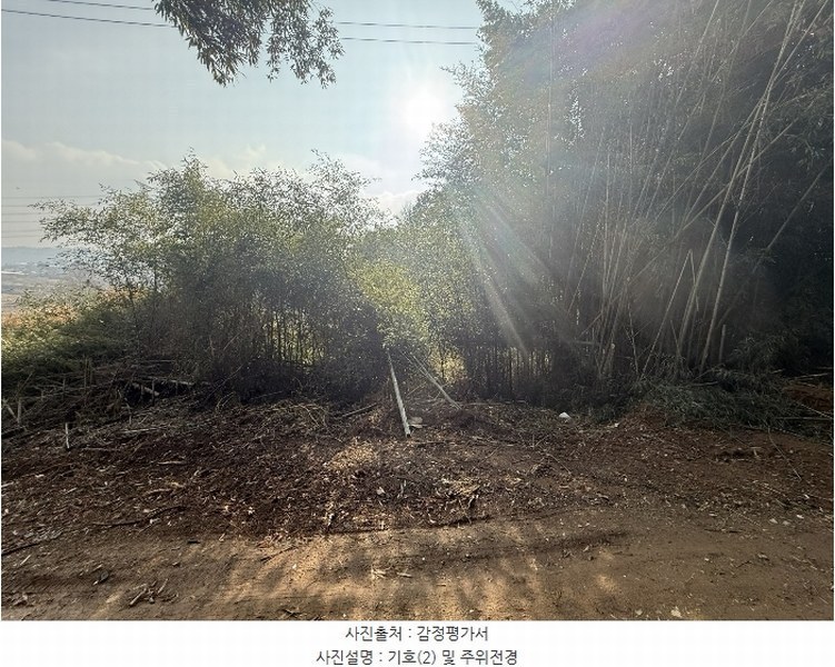 2024타경5344 충청남도 당진시 송산면 송석리 282-1 농지 경매 이미지