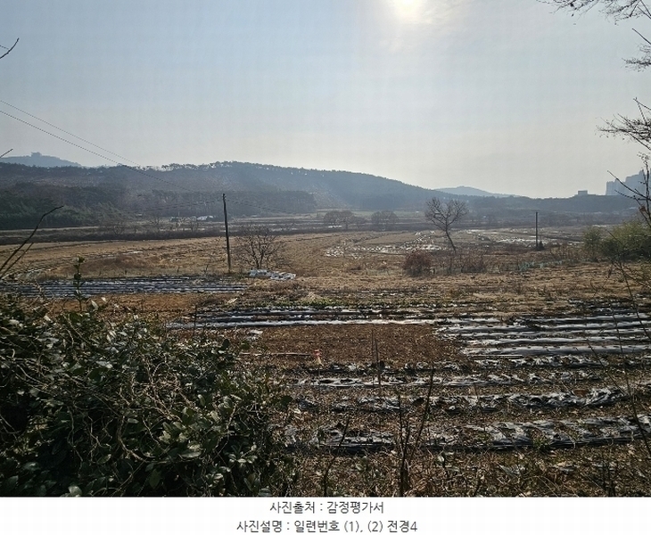 2025타경50037 충청남도 서산시 대산읍 대산리 323 농지 경매 이미지