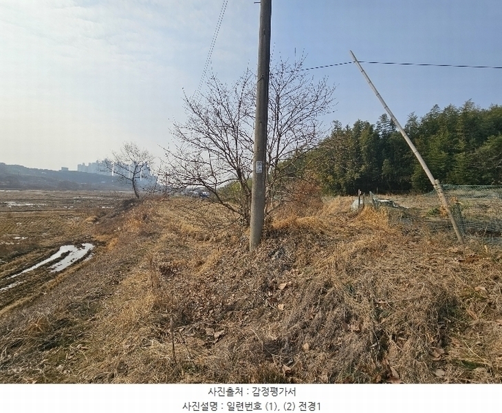 2025타경50037 충청남도 서산시 대산읍 대산리 323 농지 경매 이미지