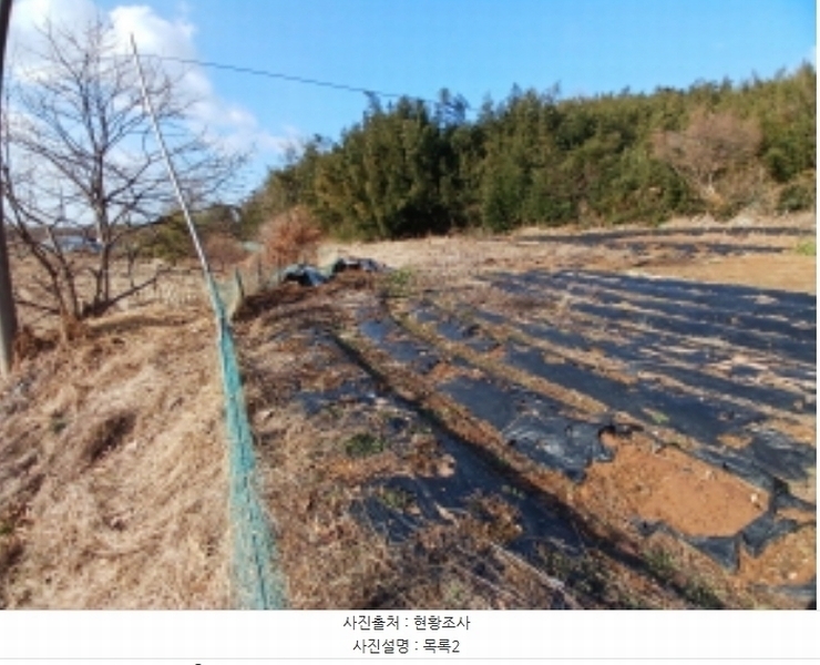 2025타경50037 충청남도 서산시 대산읍 대산리 323 농지 경매 이미지