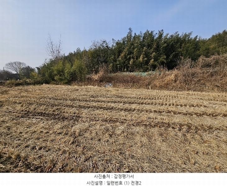 2025타경50037 충청남도 서산시 대산읍 대산리 323 농지 경매 이미지