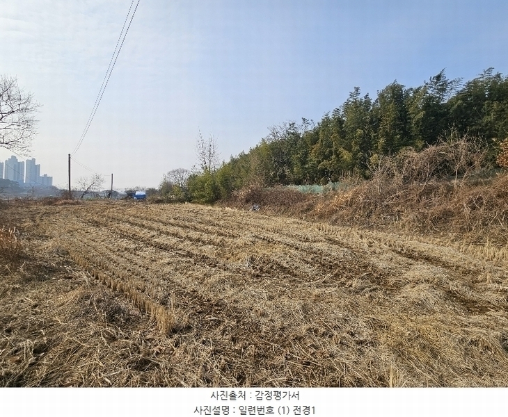 2025타경50037 충청남도 서산시 대산읍 대산리 323 농지 경매 이미지