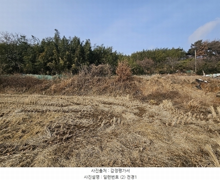 2025타경50037 충청남도 서산시 대산읍 대산리 323 농지 경매 이미지