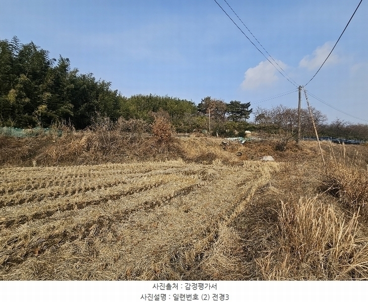2025타경50037 충청남도 서산시 대산읍 대산리 323 농지 경매 이미지