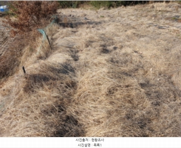 2025타경50037 충청남도 서산시 대산읍 대산리 323 농지 경매 이미지