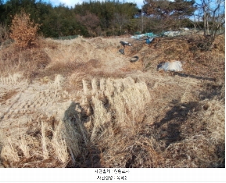2025타경50037 충청남도 서산시 대산읍 대산리 323 농지 경매 이미지