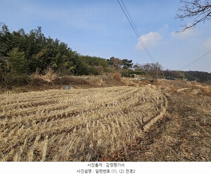 2025타경50037 충청남도 서산시 대산읍 대산리 323 농지 경매 이미지