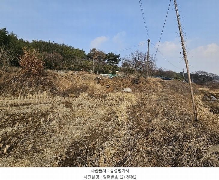 2025타경50037 충청남도 서산시 대산읍 대산리 323 농지 경매 이미지