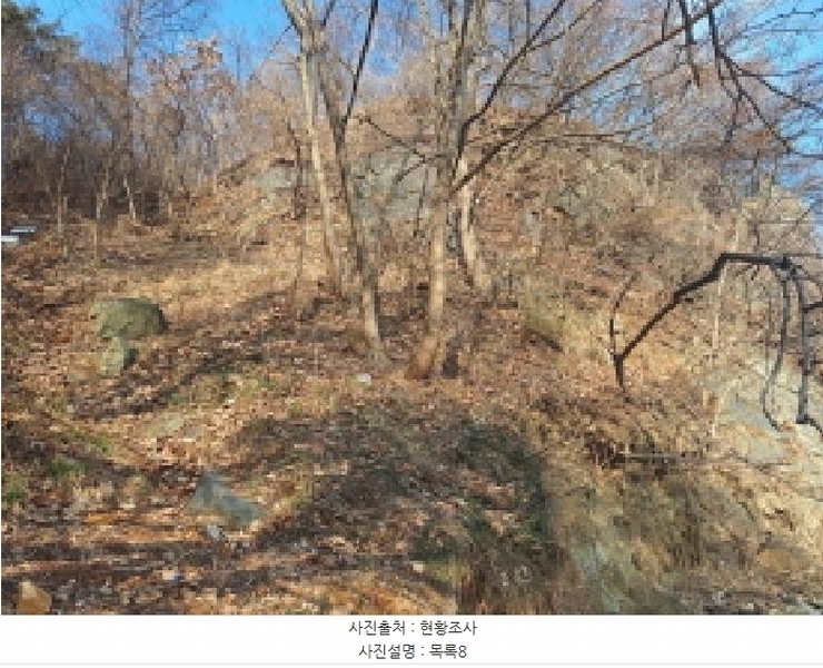 2025타경50655 충청남도 당진시 석문면 교로리 844-70 임야 경매 이미지