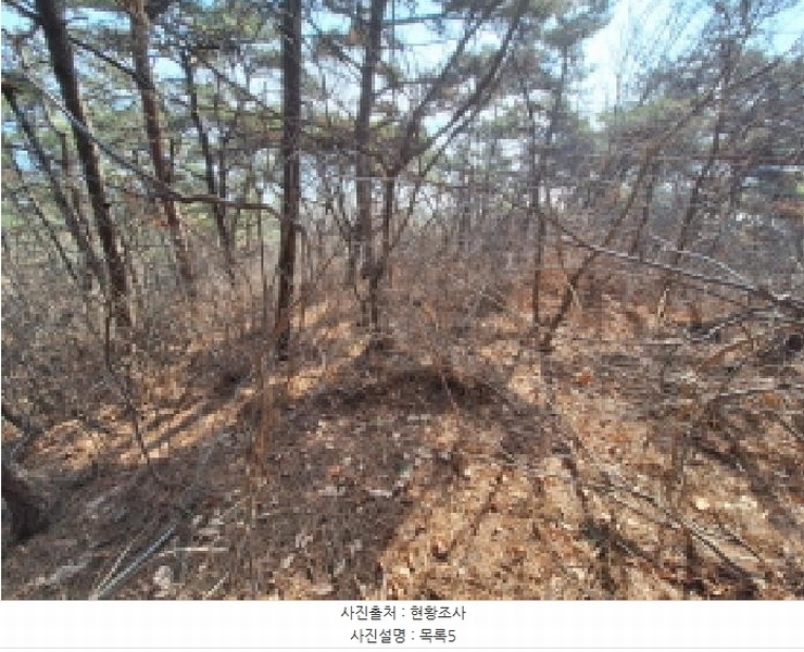 2025타경50655 충청남도 당진시 석문면 교로리 844-70 임야 경매 이미지