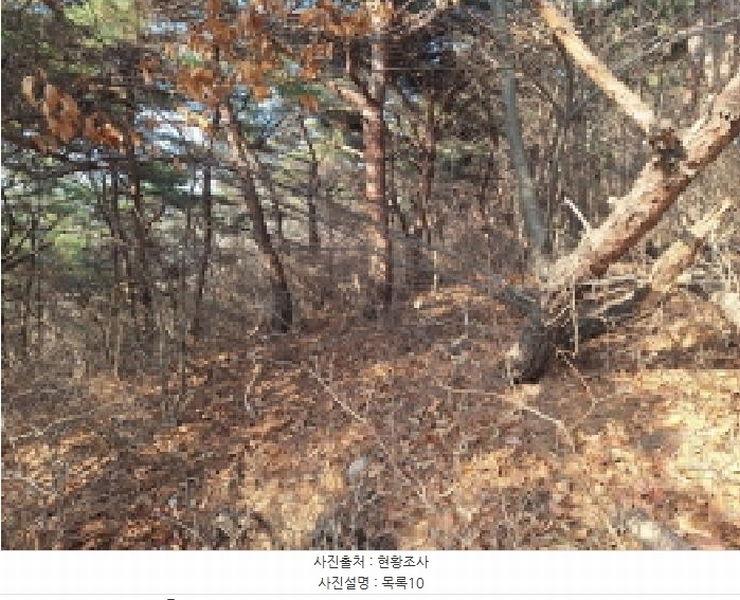 2025타경50655 충청남도 당진시 석문면 교로리 844-70 임야 경매 이미지