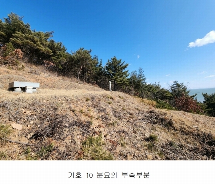 2025타경50655 충청남도 당진시 석문면 교로리 844-70 임야 경매 이미지