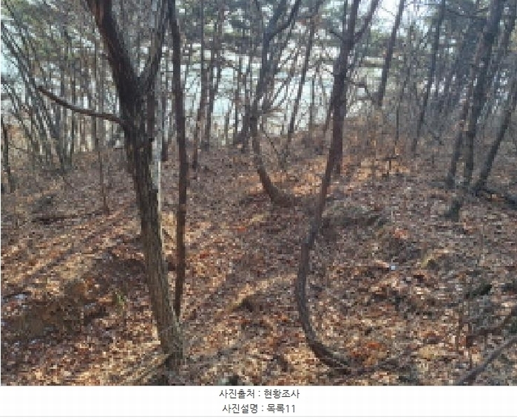 2025타경50655 충청남도 당진시 석문면 교로리 844-70 임야 경매 이미지