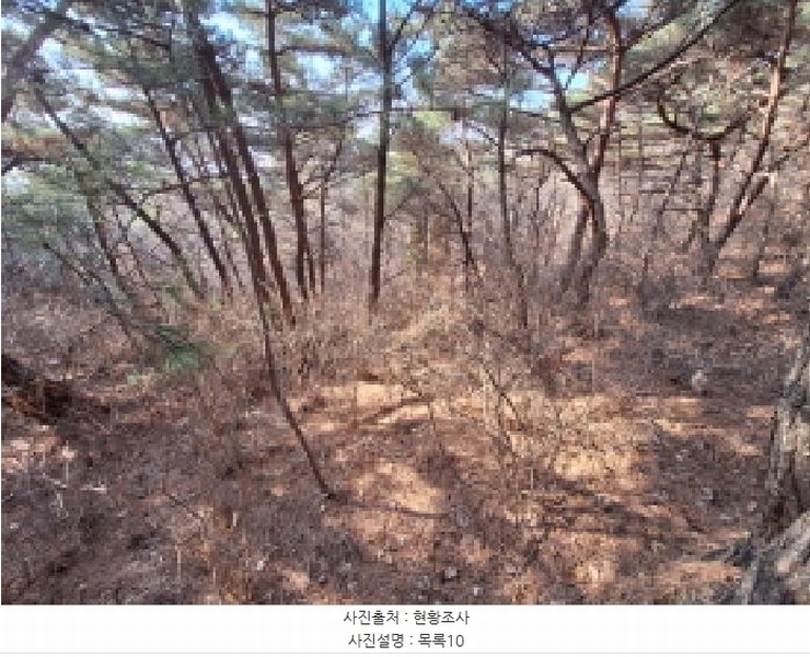 2025타경50655 충청남도 당진시 석문면 교로리 844-70 임야 경매 이미지