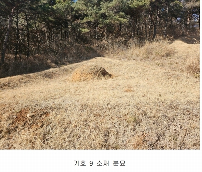 2025타경50655 충청남도 당진시 석문면 교로리 844-70 임야 경매 이미지