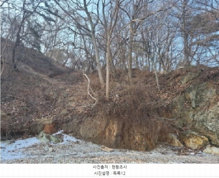 2025타경50655 충청남도 당진시 석문면 교로리 844-70 임야 경매 이미지