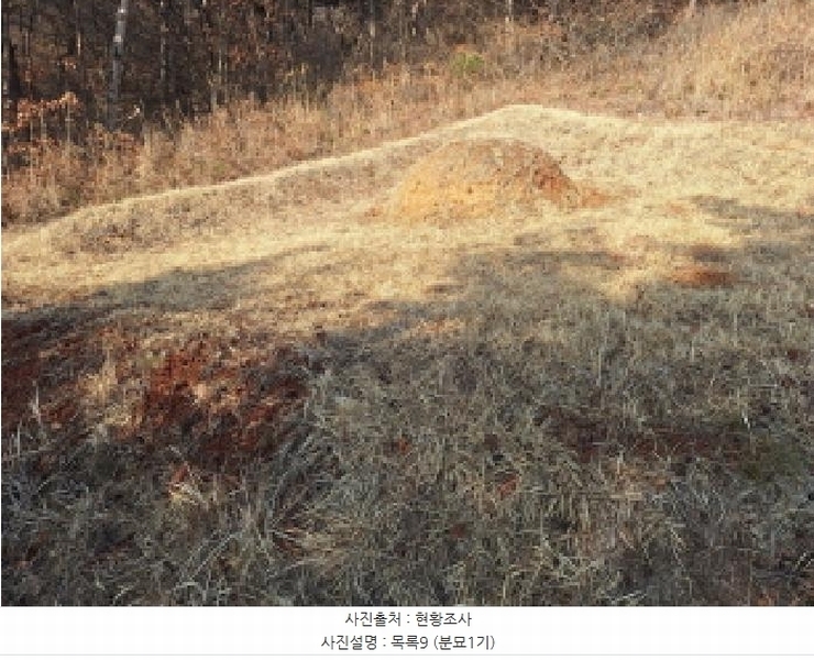 2025타경50655 충청남도 당진시 석문면 교로리 844-70 임야 경매 이미지