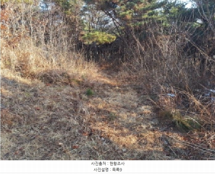 2025타경50655 충청남도 당진시 석문면 교로리 844-70 임야 경매 이미지