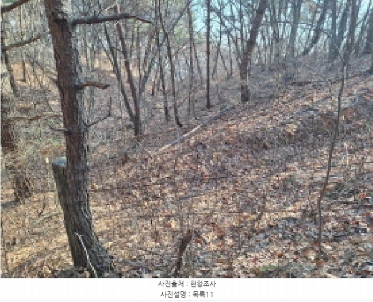 2025타경50655 충청남도 당진시 석문면 교로리 844-70 임야 경매 이미지