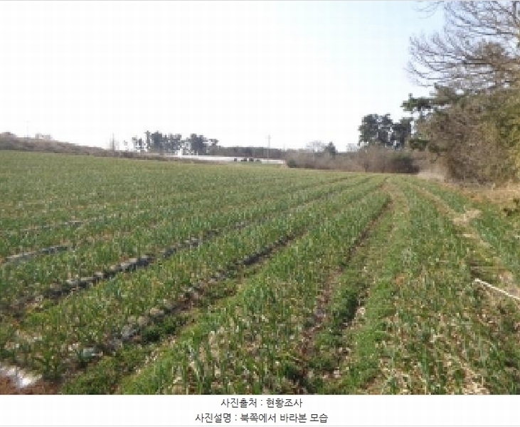2025타경51094 충청남도 서산시 부석면 강수리 889-37 임야 경매 이미지