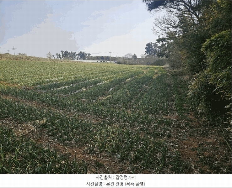 2025타경51094 충청남도 서산시 부석면 강수리 889-37 임야 경매 이미지