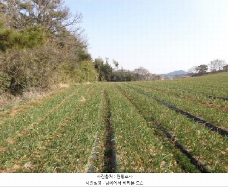 2025타경51094 충청남도 서산시 부석면 강수리 889-37 임야 경매 이미지